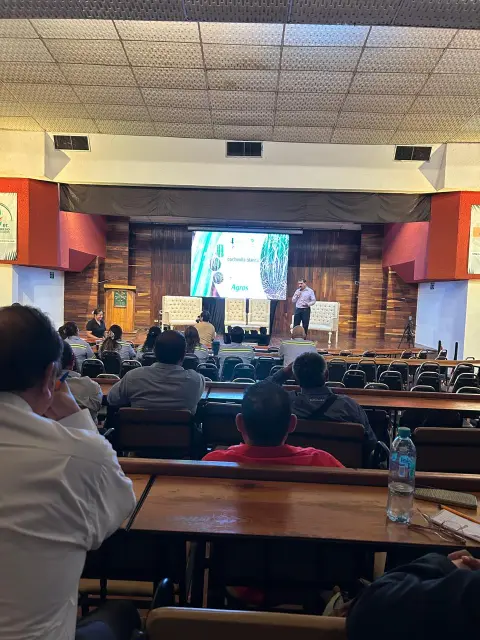 Vista del salón de conferencias desde el fondo